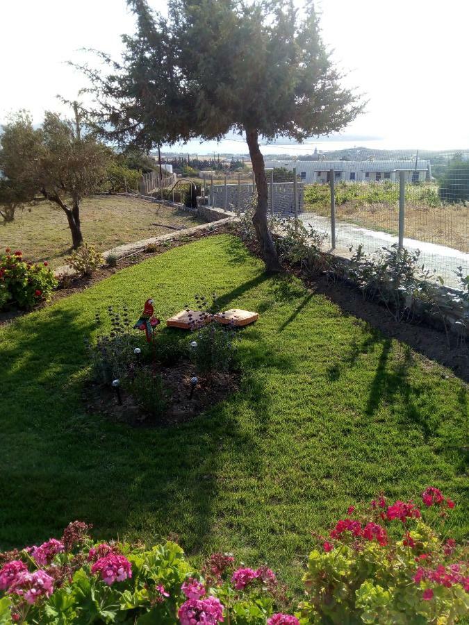 Traditional House Paros Sarakíniko Zewnętrze zdjęcie