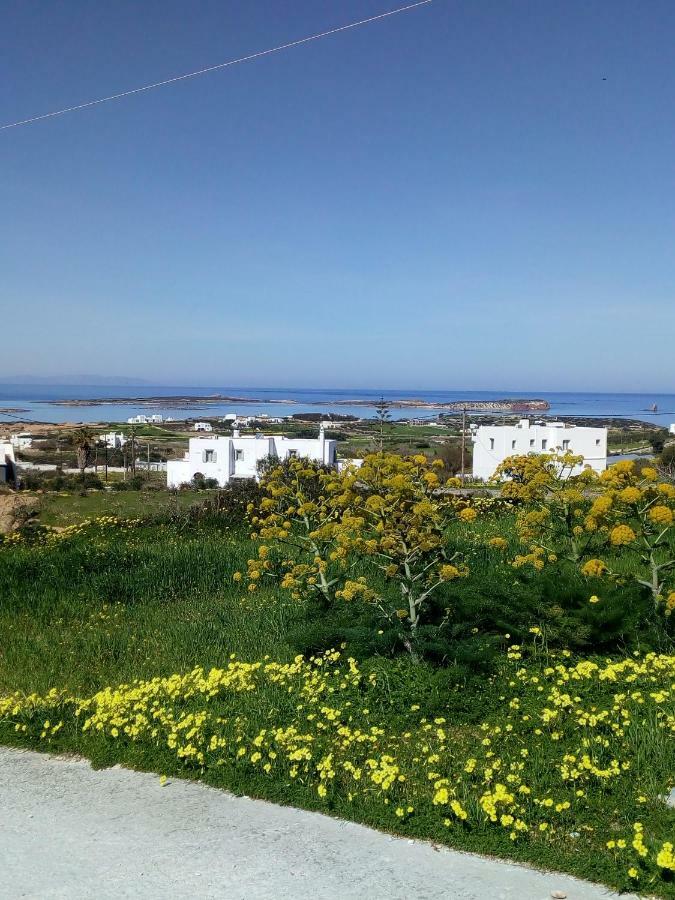 Traditional House Paros Sarakíniko Zewnętrze zdjęcie
