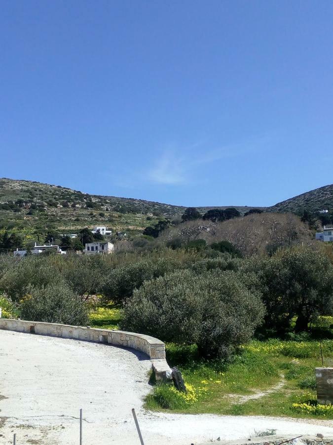 Traditional House Paros Sarakíniko Zewnętrze zdjęcie