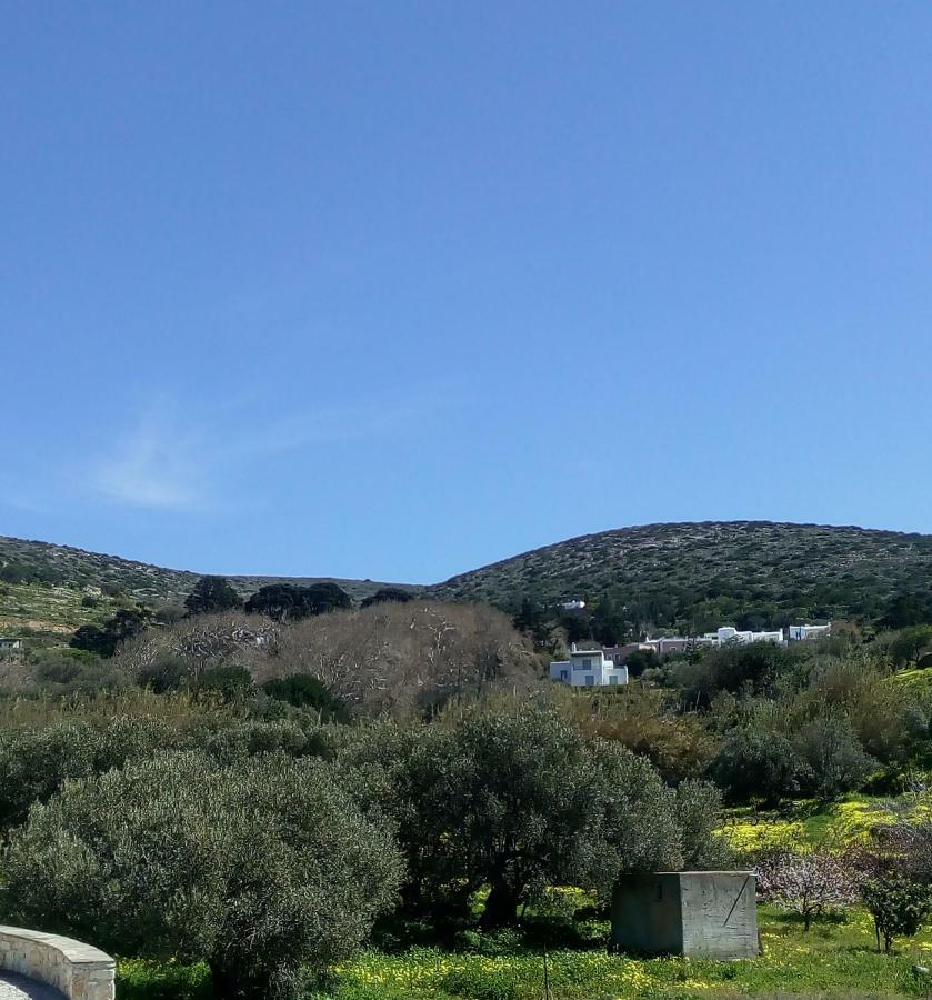 Traditional House Paros Sarakíniko Zewnętrze zdjęcie